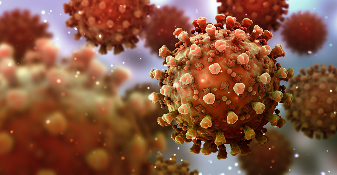 This Is How Your Immune System Reacts to Coronavirus And what it means for treatment